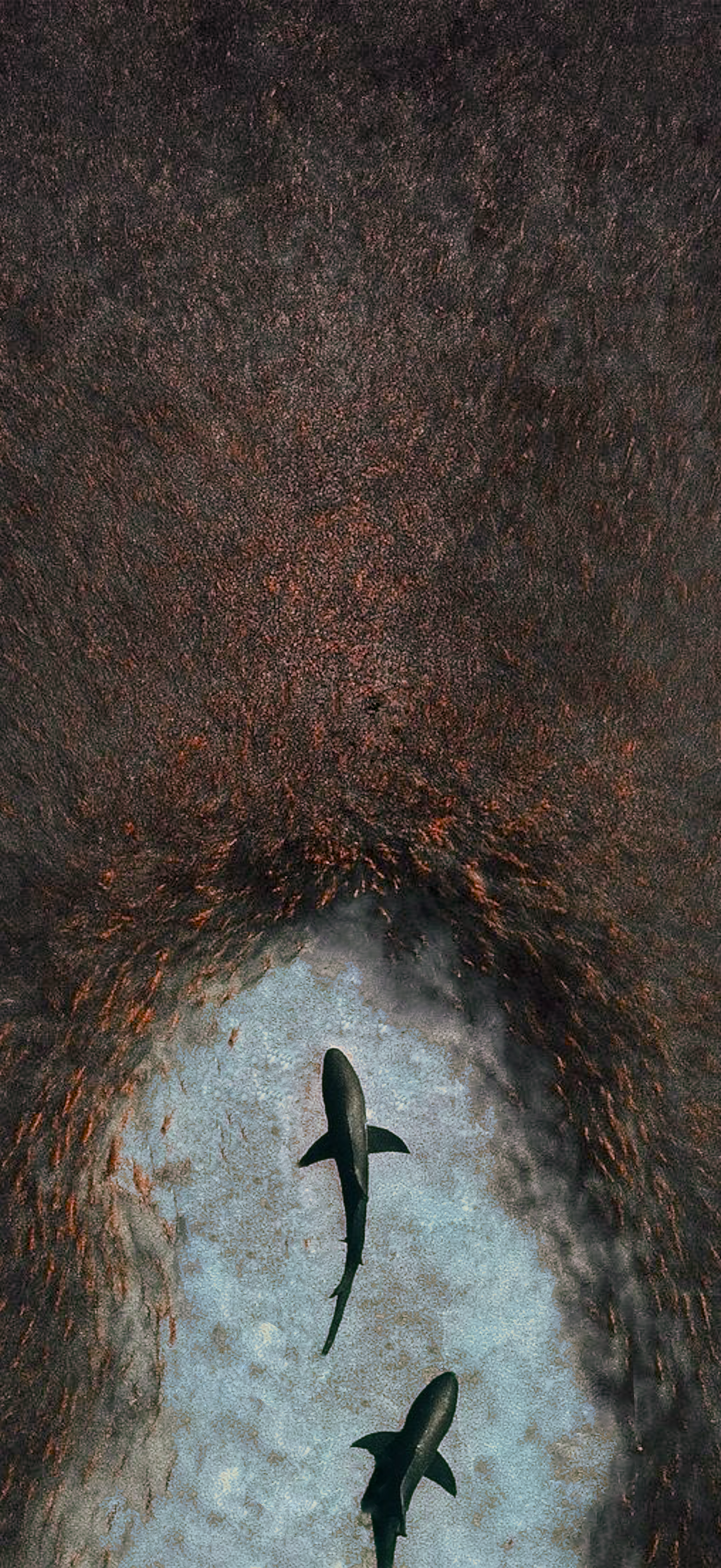 L'Exode Rouge
